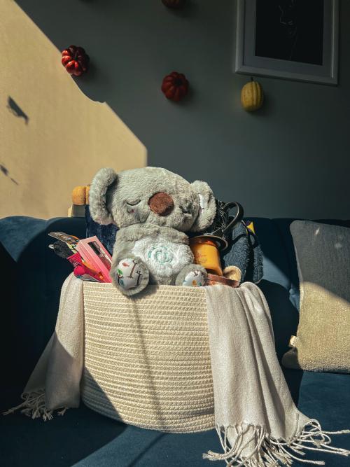 Hızlı teslimat sonrası peluşla çekilen fotoğraf
